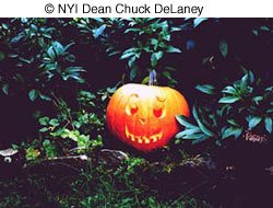 © NYI Dean Chuck DeLaney image 