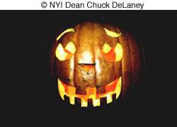 © NYI Dean Chuck DeLaney image 