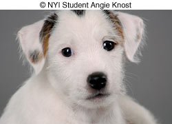 © NYI Student Angie Knost © NYI Student Angie Knost