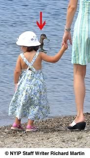 Girl with Duck in Photo (before Photoshop)