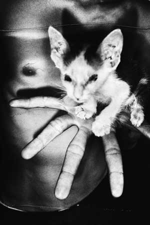 ©Daido Moriyama