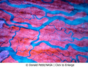 Ganges River from space