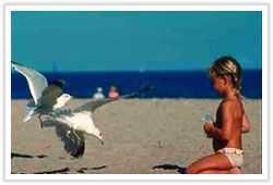 NYIP - Sea gulls and Child
