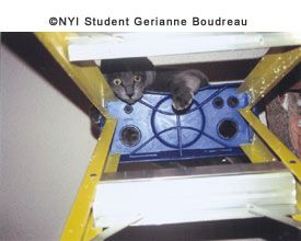 © NYIP Student Gerrianne Boudreau © NYIP Student Gerrianne Boudreau