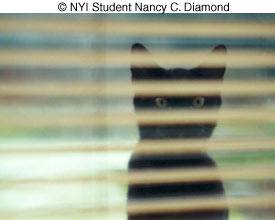 © NYIP Student Nancy C. Diamond © NYIP Student Nancy C. Diamond