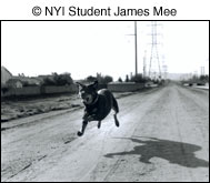 NYIP student James Mee gives us an entirely different type of location portrait, using a fast shutter speed to freeze this hard driving pooch in mid-air. The converging lines of the dirt roadway and the high-voltage power lines pull our eye to the right side of the picture, where the dramatic shadow cast by the dog makes this picture all the more dynamic. There's an element of mystery to this picture as well. We're not exactly sure where this dog is headed, but if there's a chase on, we don't envy whatever is being pursued. Could it be the neighborhood cat? © NYIP Student James Mee