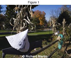 Richard Martin - Dynamic Range Photo