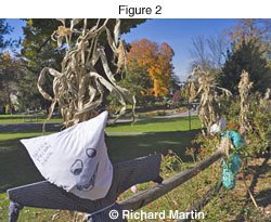 Richard Martin - DR photo Richard Martin - DR photo