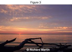 Richard Martin - DR photo Richard Martin - DR photo