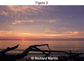 Richard Martin - DR photo