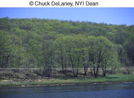 © Chuck DeLaney, NYI Dean © Chuck DeLaney, NYI Dean