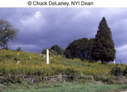 © Chuck DeLaney, NYI Dean © Chuck DeLaney, NYI Dean