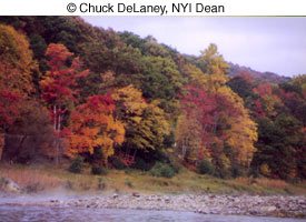 © Chuck DeLaney, NYI Dean © Chuck DeLaney, NYI Dean