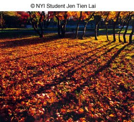© NYI Student Jen Tien Lai