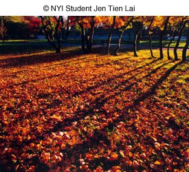 © NYI Student Jen Tien Lai © NYI Student Jen Tien Lai