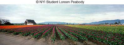 © NYIP Student Loreen Peabody © NYIP Student Loreen Peabody