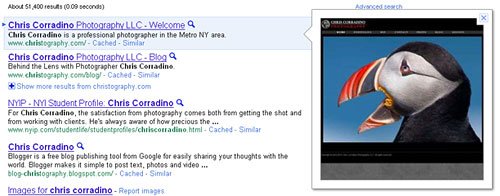 Google Preview