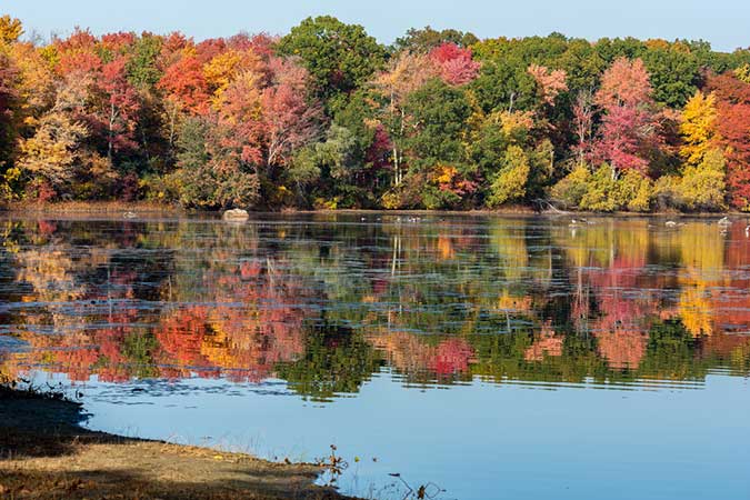 How to Take Perfect Fall Photos