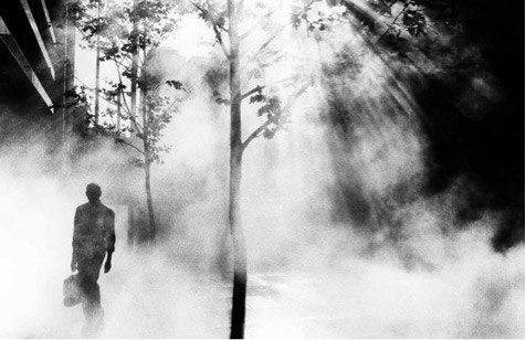 A great example of backlight by the über talented Trent Parke © Trent Park