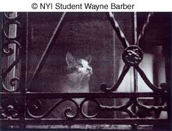 © Student Wayne Barber © Student Wayne Barber