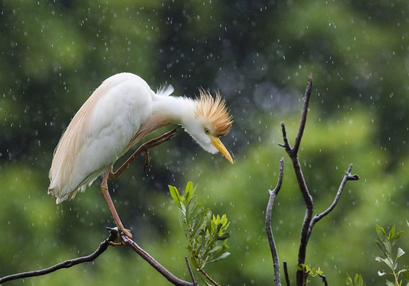 2013 NYIP Photo Contest Winners