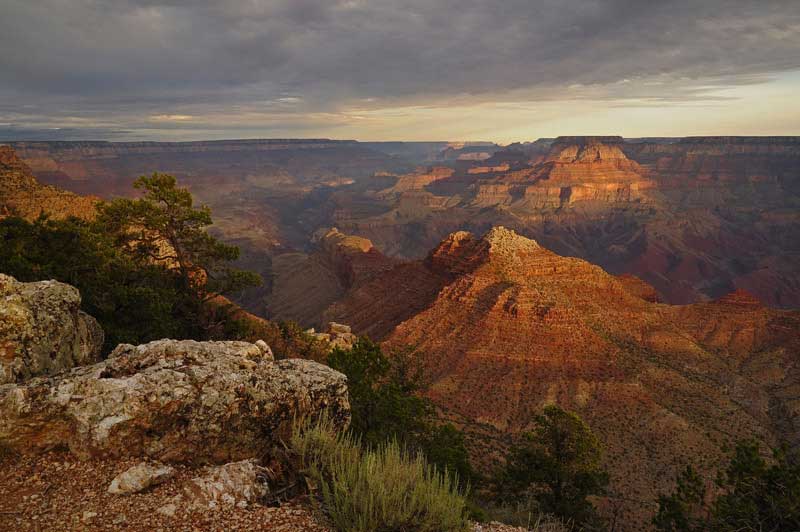 2013 NYIP Photo Contest Winners