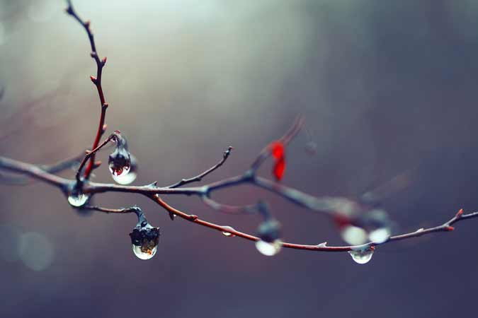 Photographing Raindrops