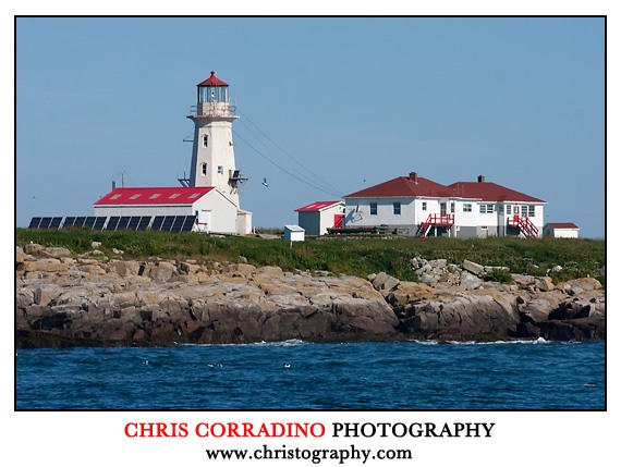 Machias Seal Island Lighthouse