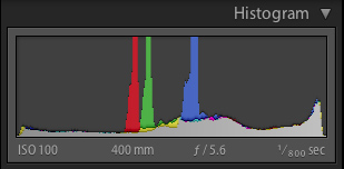 Chris Corradino histogram of puffin photo