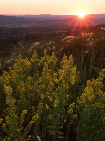 Shooting Mirrorless in Italy