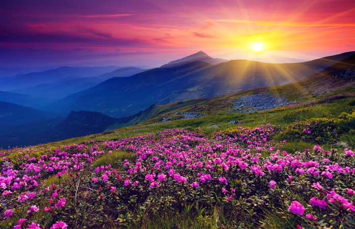 Landscape