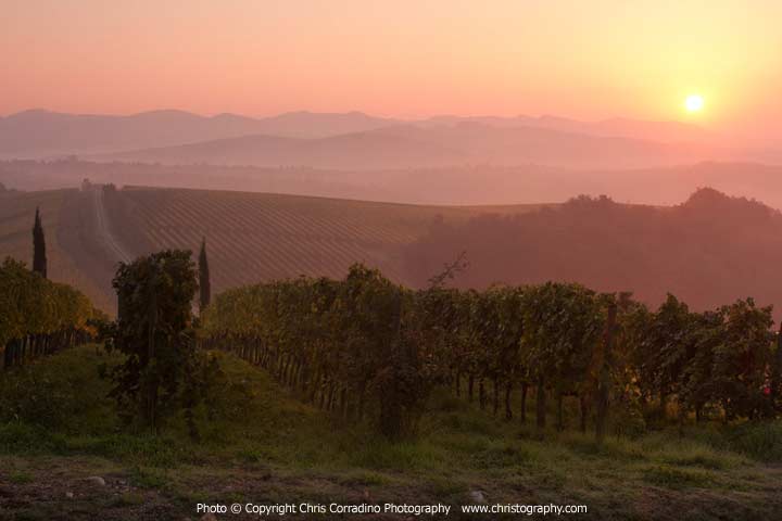 Chris Corradino - Light in Tuscany