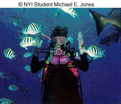 Image Image
