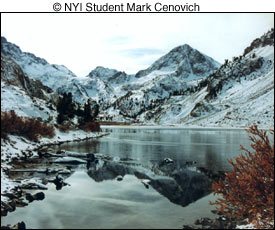 © NYIP Student Mark Cenovich © NYIP Student Mark Cenovich