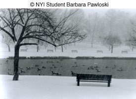 © NYIP Student Barbara Pawloski
