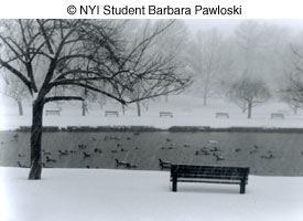 © NYIP Student Barbara Pawloski © NYIP Student Barbara Pawloski