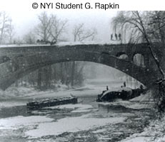 © NYIP Student G. Rapkin