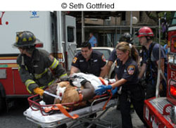 © Seth Gottfried © Seth Gottfried