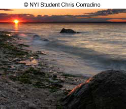 © NYI Student Chris Corradino © NYI Student Chris Corradino