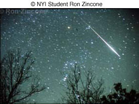 © NYI Student Ron Zincone © NYI Student Ron Zincone