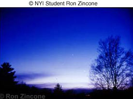 © NYI Student Ron Zincone © NYI Student Ron Zincone