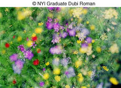 © NYI Graduate Dubi Roman © NYI Graduate Dubi Roman