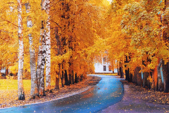 4 Fall Photography Tricks