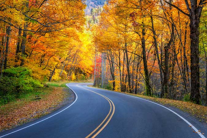 How to Take Perfect Fall Photos