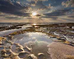 Lightroom or Photoshop? How About Both!