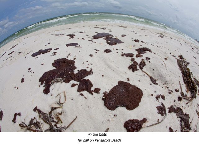 Photographing the BP Oil Spill