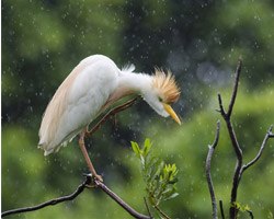 “Oh, Beautiful” Photo Competition Winners