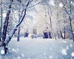 Photographing Falling Snow