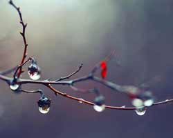 Photographing Raindrops