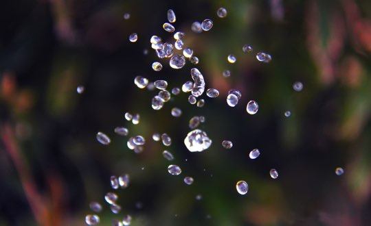 Photographing Water Diamonds